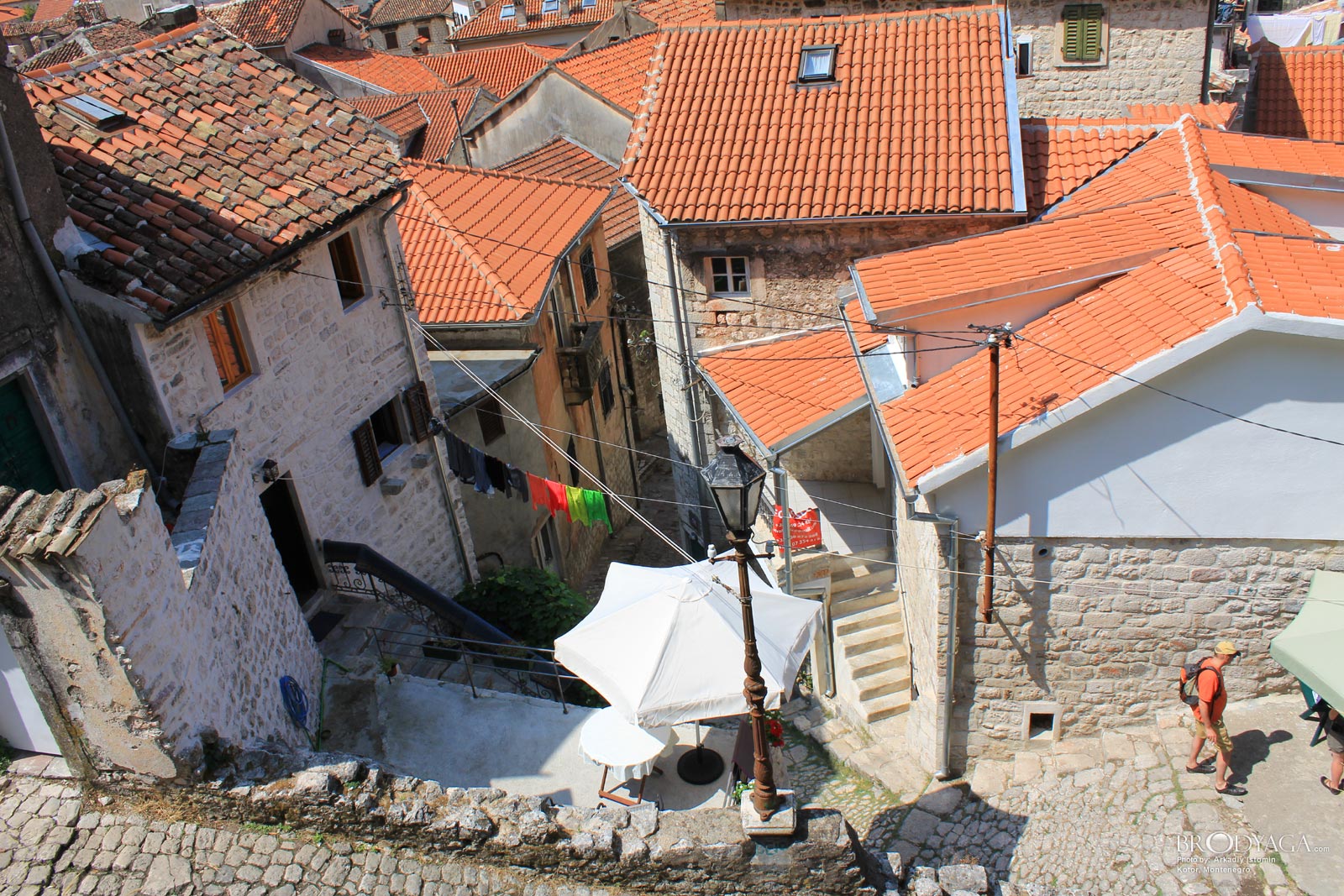 Kotor